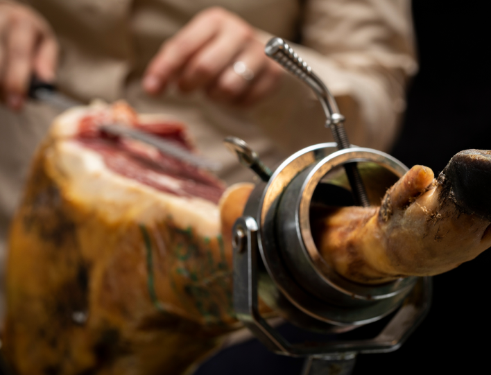 carta mundo jamontime